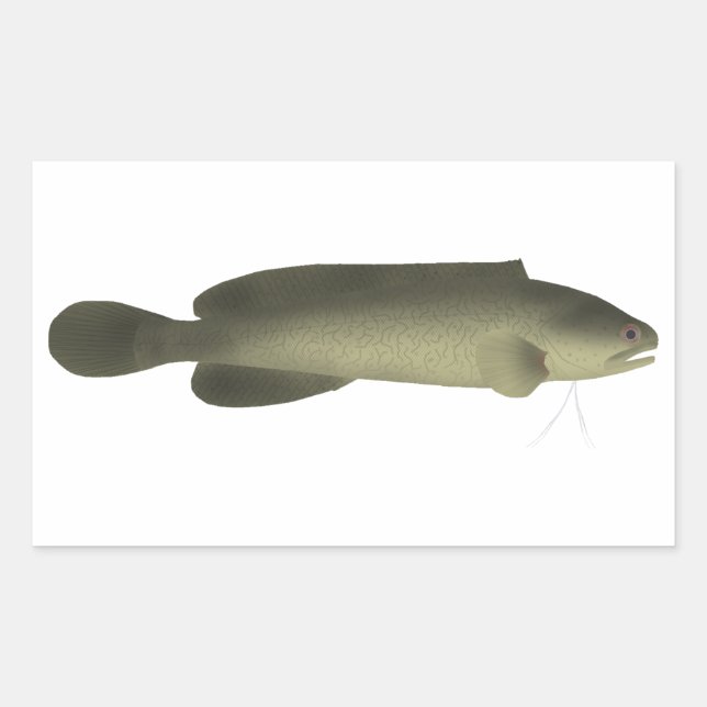 Sticker Rectangulaire Poisson noir de rivière Imprimer, papier d'affiche (Devant)