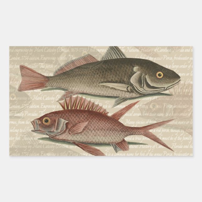 Sticker Rectangulaire Poisson Perche rouge Art pêcheur (Devant)