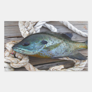 Sticker Rectangulaire Poisson rouge sur quai et corde