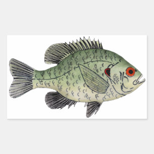 Sticker Rectangulaire Poisson-soleil