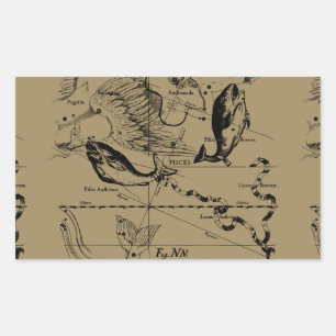 Sticker Rectangulaire Poissons Constellation Hevelius 1690 Décor