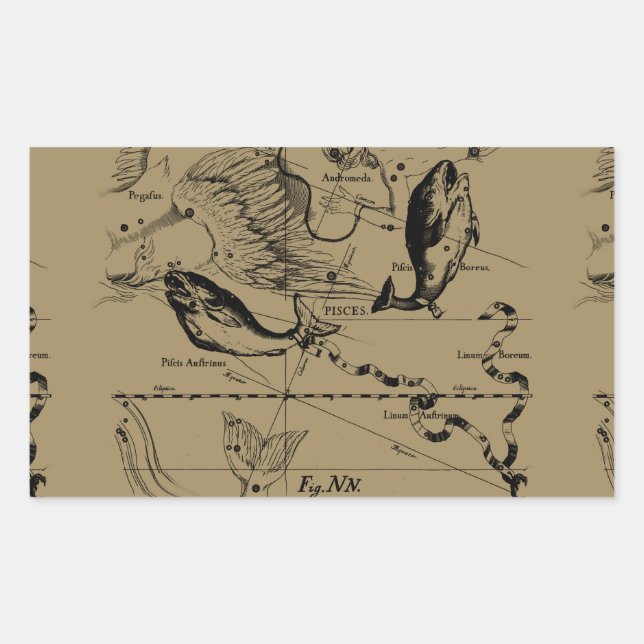 Sticker Rectangulaire Poissons Constellation Hevelius 1690 Décor (Devant)