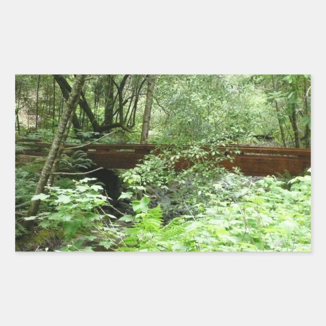 Sticker Rectangulaire Pont Muir Woods I (Devant)
