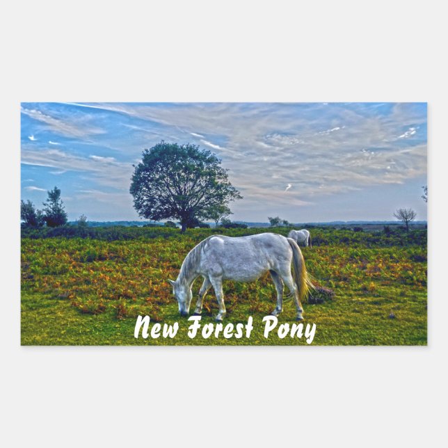 Sticker Rectangulaire Ponts de la Nouvelle Forêt Blanche Rare, Cheval Sa (Devant)