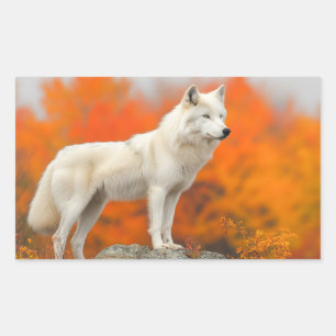 Sticker Rectangulaire Portrait d'amour d'animal sauvage Loup