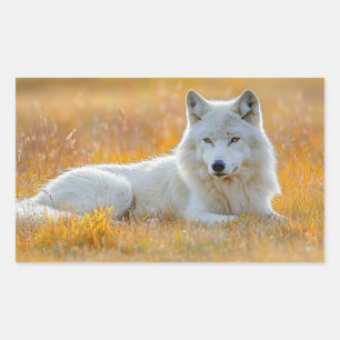 Sticker Rectangulaire Portrait d'amour d'animal sauvage Loup
