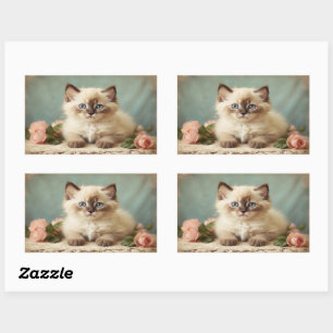 Sticker Rectangulaire Portrait de chaton persan ragdoll mignon vintage