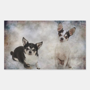 Sticker Rectangulaire Portrait de deux chihuahua