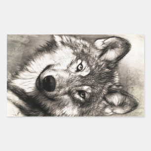 Sticker Rectangulaire Portrait de loup