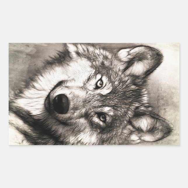 Sticker Rectangulaire Portrait de loup (Devant)