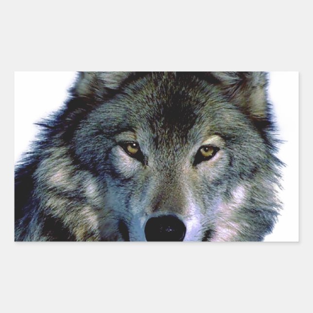 Sticker Rectangulaire Portrait Wolf (Devant)