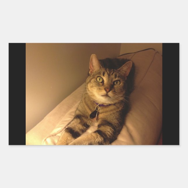 Sticker Rectangulaire Pose modèle Indigo (Devant)