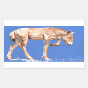 Sticker Rectangulaire Poulain 2012 de Przewalski