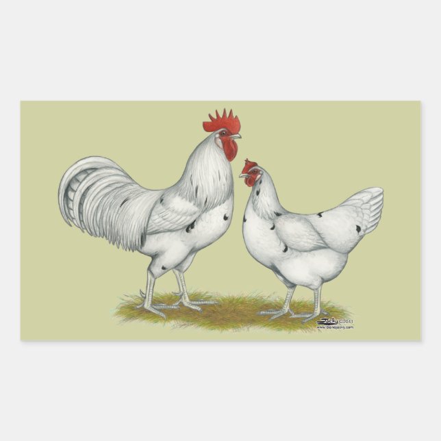 Sticker Rectangulaire Poulets blancs Austra (Devant)