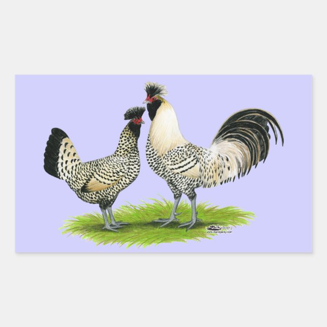 Sticker Rectangulaire Poulets de crème Brabanter (Devant)