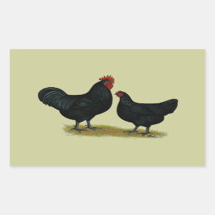 Sticker Rectangulaire Poulets de géant du Jersey