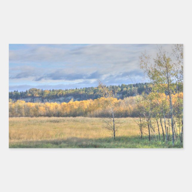Sticker Rectangulaire Pré avec Aspens (Devant)