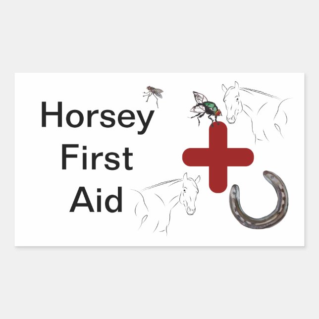 Sticker Rectangulaire premiers soins de horsey (Devant)