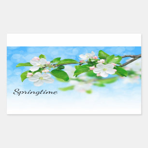 Sticker Rectangulaire Printemps (fleurs de pomme)