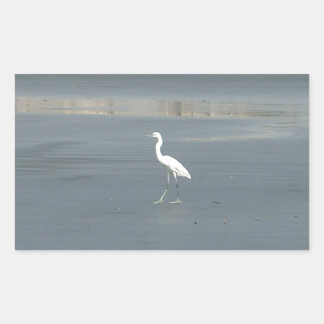 Sticker Rectangulaire Promenade en solo.JPG (Devant)