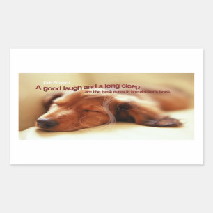 Sticker Rectangulaire Proverbe irlandais et chien couché