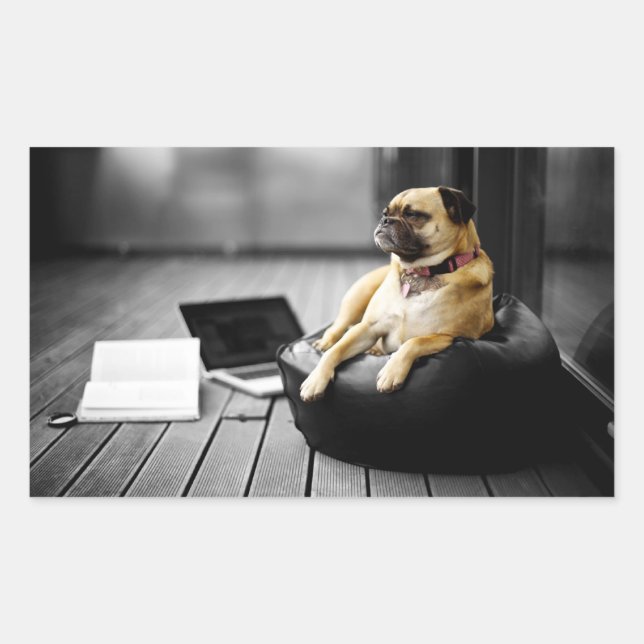 Sticker Rectangulaire Pug at (Devant)