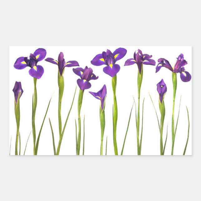 Sticker Rectangulaire Purple Irises - Iris Flower Customisé Modèle (Devant)