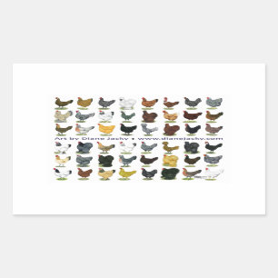 Sticker Rectangulaire Quarante-huit promos de poule