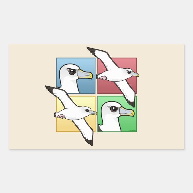 Sticker Rectangulaire Quatre albatros couleur (Devant)