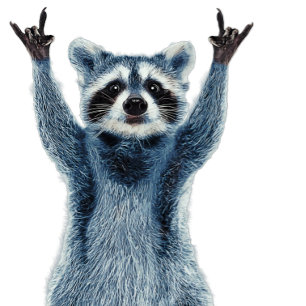 Sticker Rectangulaire Raccoon - Nature Raccoon - Cute Raccoon