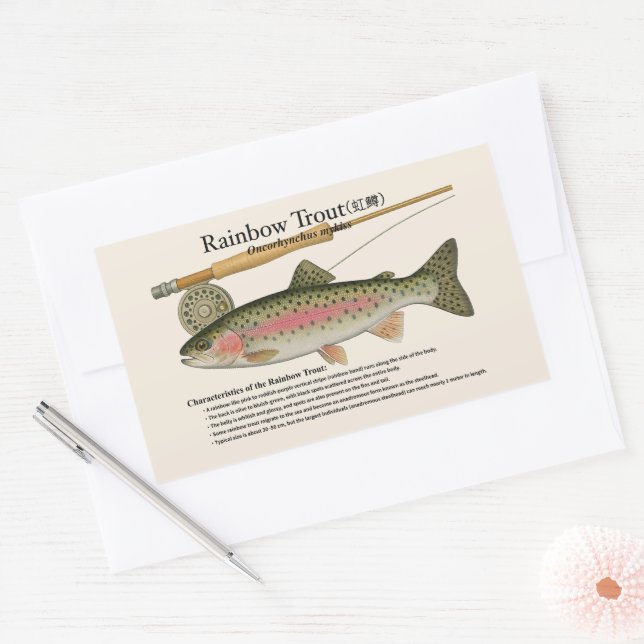 Sticker Rectangulaire Rainbow Trout (Oncorhynchus mykiss) – English Rect (Enveloppe)
