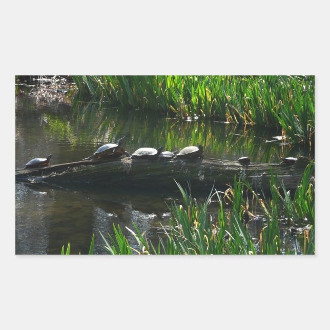 Sticker Rectangulaire Rangée de tortues photo de nature verte (Devant)