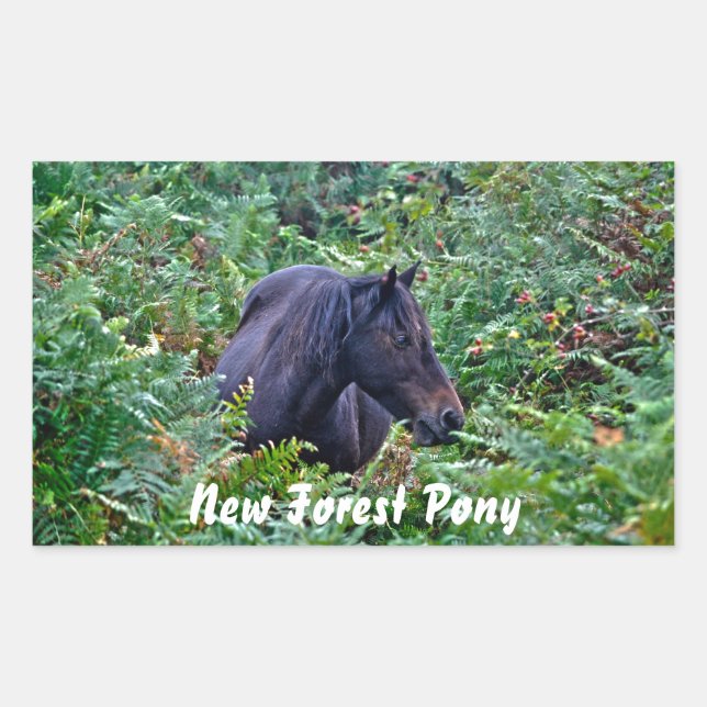Sticker Rectangulaire Rare Black New Forest Pony - Wild Horse - Angleter (Devant)