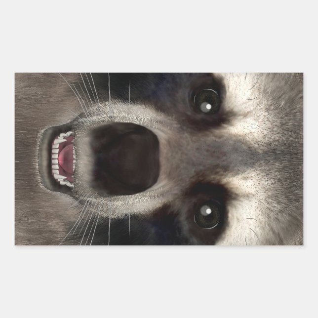 Sticker Rectangulaire Raton laveur (Devant)