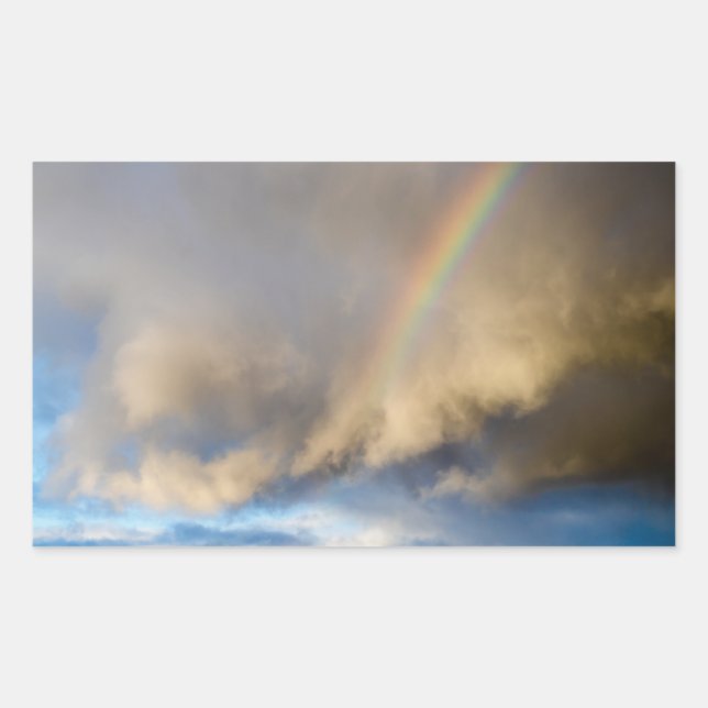 Sticker Rectangulaire rébellion arc-en-ciel (Devant)