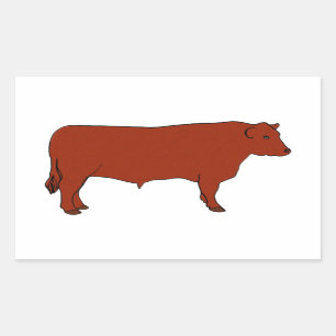 Sticker Rectangulaire Red Angus Bull