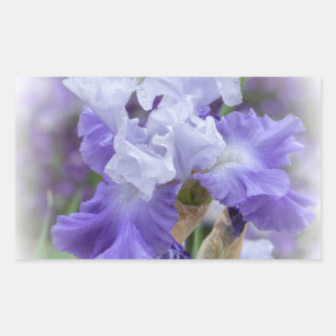 Sticker Rectangulaire Regal Beares Iris - Violet & Blanc