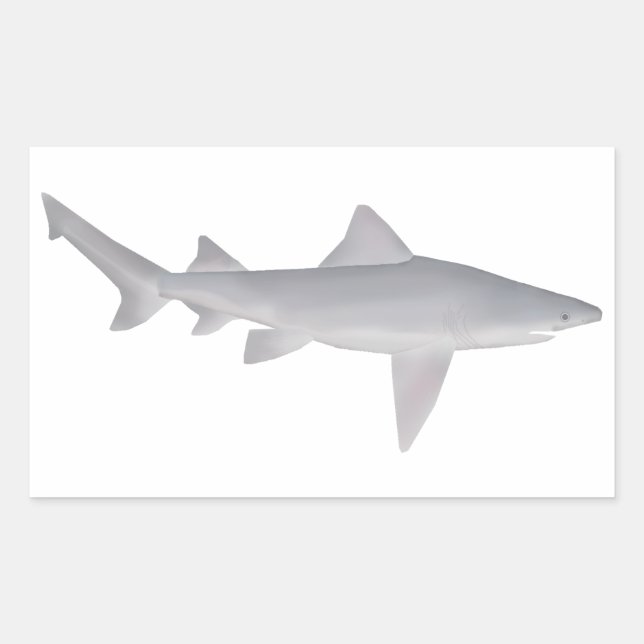 Sticker Rectangulaire Requin à bec (Devant)