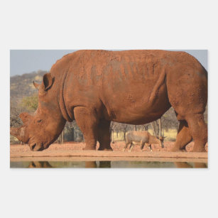 Sticker Rectangulaire Rhino avec boue sur la peau