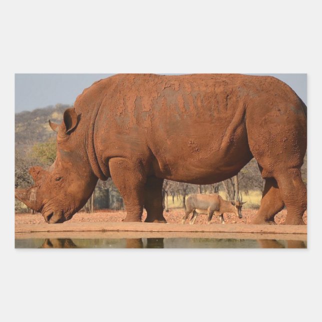 Sticker Rectangulaire Rhino avec boue sur la peau (Devant)