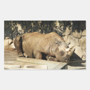 Sticker Rectangulaire Rhino couché