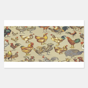 Sticker Rectangulaire Rooster Poulet de la ferme Pays Animal