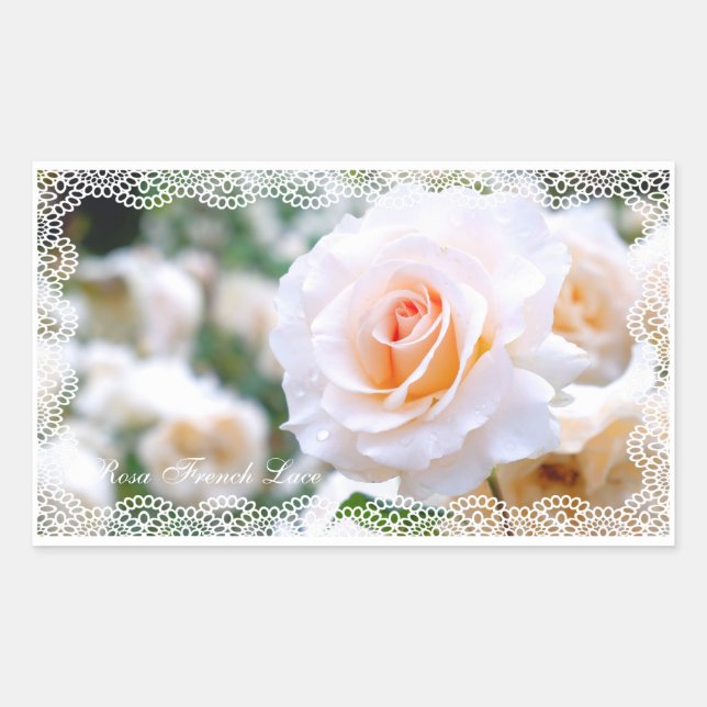 Sticker Rectangulaire Rosa French Lace [Rectangular Seal] (Devant)