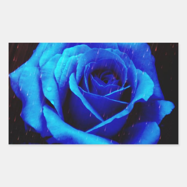 Sticker Rectangulaire Rose bleu spectaculaire (Devant)