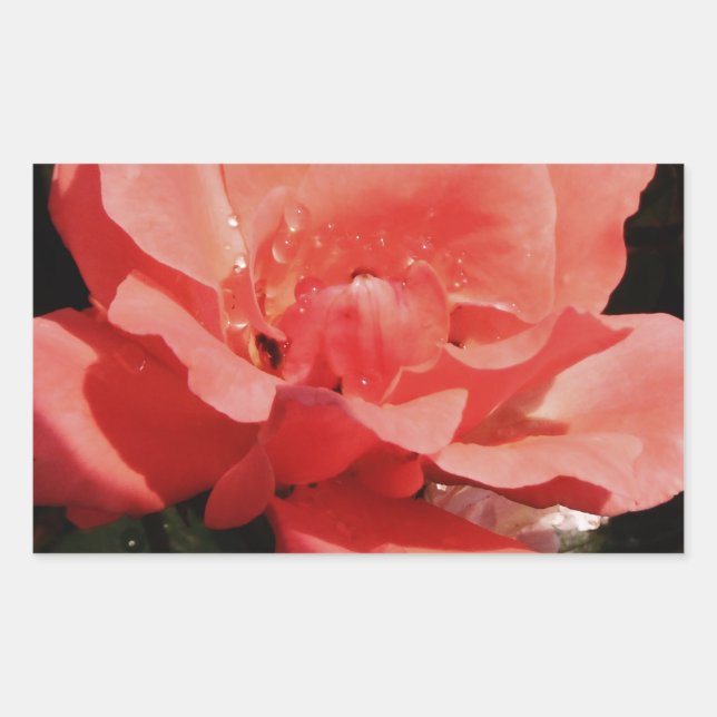 Sticker Rectangulaire rose de pêche et détritus (Devant)
