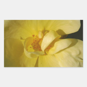 Sticker Rectangulaire Rose jaune sauvage
