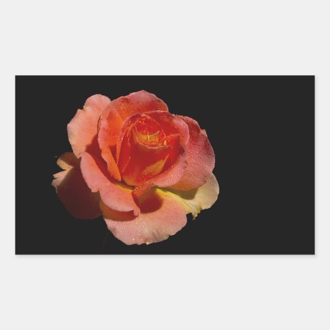 Sticker Rectangulaire Rose orange 2 (Devant)