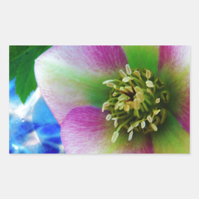 Sticker Rectangulaire Rose rose carême bleu boule de verre (Devant)