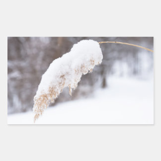 Sticker Rectangulaire roseau dans la neige