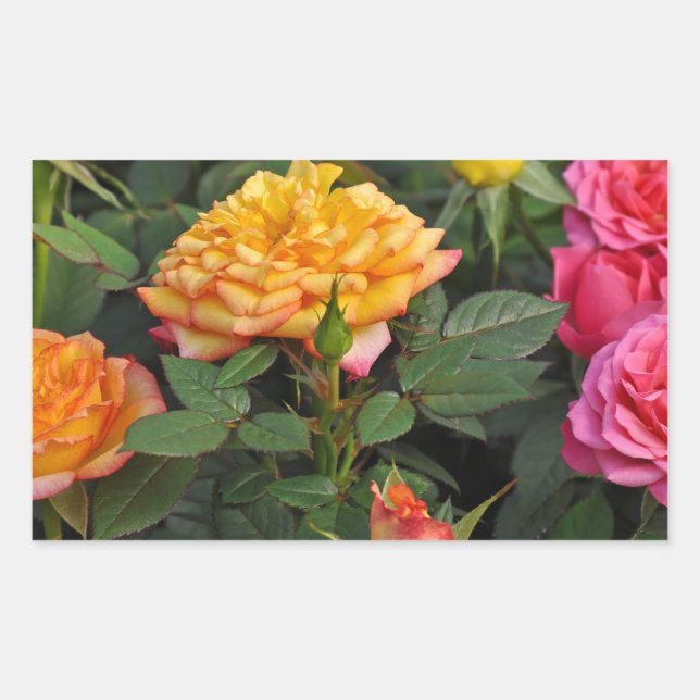 Sticker Rectangulaire Roses miniatures colorés (Devant)